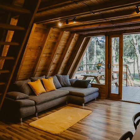 Mesa Summer House Zakrzewo  Экстерьер фото